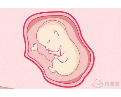 杭州代怀生宝宝,助孕代妈网,浙江省精子库要求,浙江人类精子库