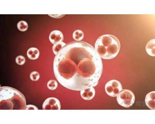 杭州助孕那家好,试管代孕靠谱吗,杭州助孕公司如何选择,附详细机构排名