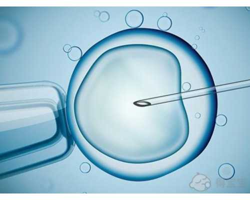 杭州供卵哪里有卵源,代孕机构正规吗,浙江产假国家规定最新政策？浙江产假多