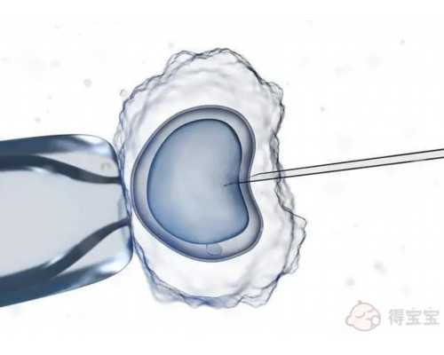 杭州供卵方案公司,中国未婚能做试管吗,【浙江生子】浙江省妇保医院清单明细